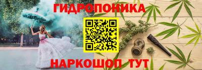 Альфа ПВП Комсомольск-на-Амуре